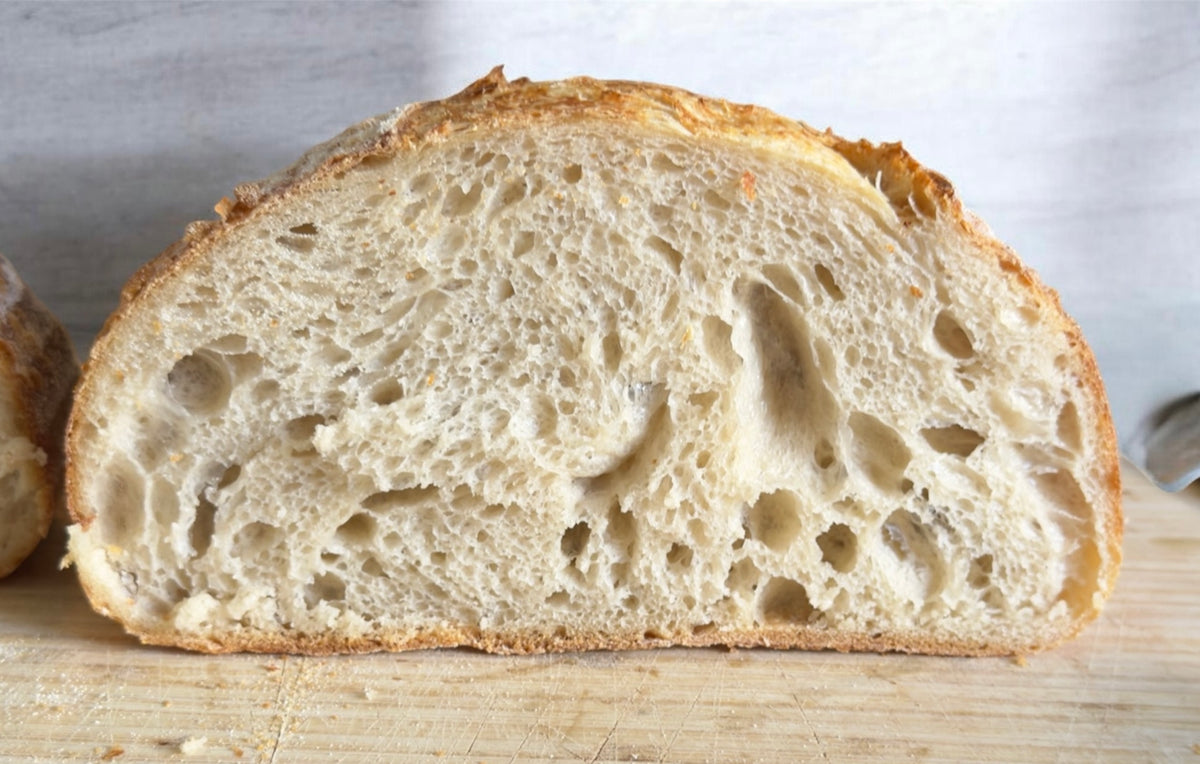 White Sourdough Crumb